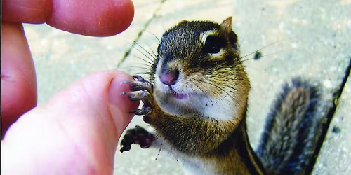 Animals are Soul, Too!, Spiritual Discussion 