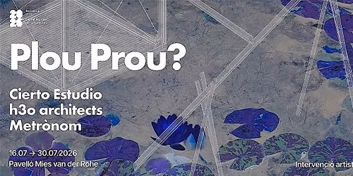 Intervenci\u00f3 art\u00edstica Plou Prou