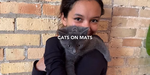 Cats on Mats