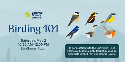 Birding 101
