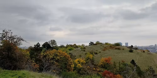 K\u0159\u00ed\u017eov\u00e1 nekocesta na Velk\u00fd p\u00e1tek