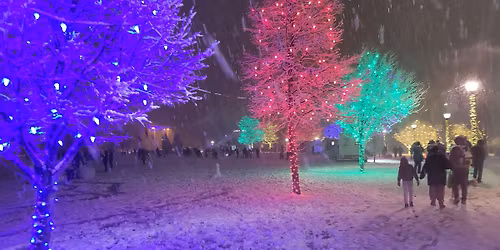 Longmont Lights Festival