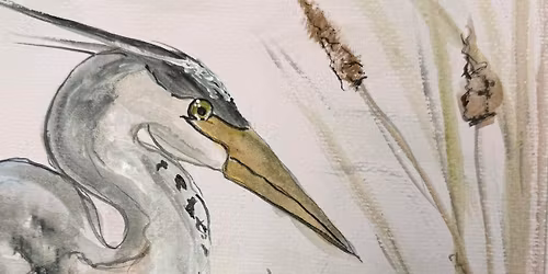 Heron Watercolor Class