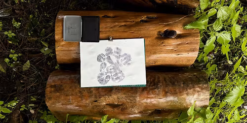 Land Art Collage with Texture Hunting