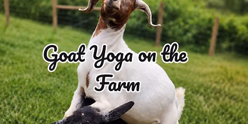 Goat Yoga on the Farm