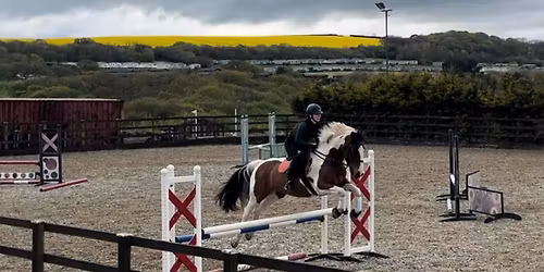 NRC Evening Show Jumping\ud83d\udc0e