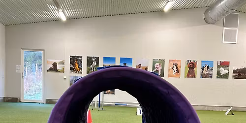 Jubileumsrally, kveldsstevne klasse 1, 2 og 3 