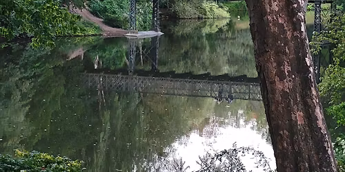 MDG snakker om arealplanen og en ny kurs for natur