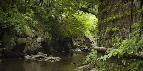 Working Together for Cleaner Streams: Topics in Stormwater Management