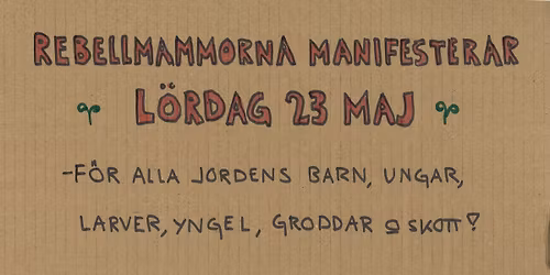 Nationell manifestation med Rebellmammorna