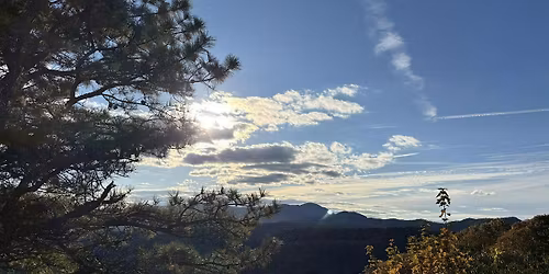 Adoption Connection Asheville