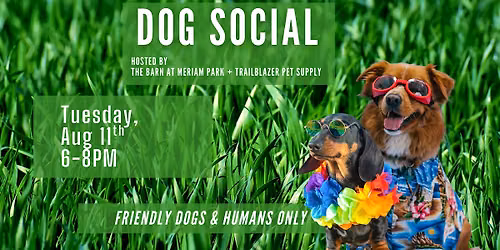 Dog Social