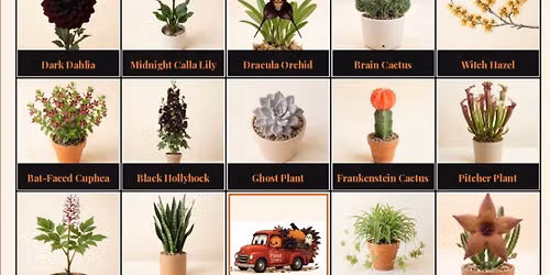 Halloween Plant Bingo 