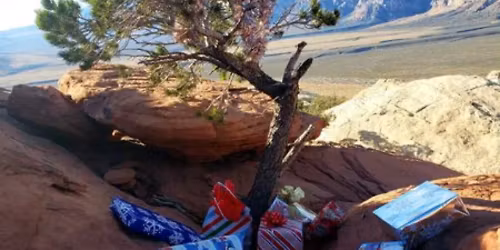 Turtlehead Jr - Annual White Elephant Christmas Gift Exchange and L2 Chip