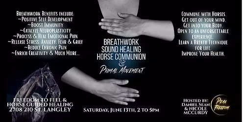 Breathwork, Sound Healing & Horse Communion