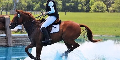 POP Schooling Show