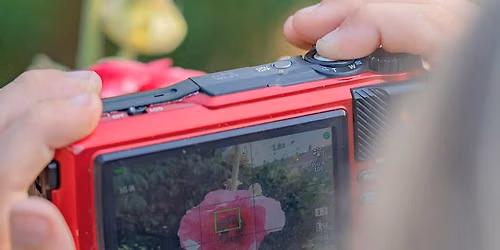 Children's Summer Photography Workshop