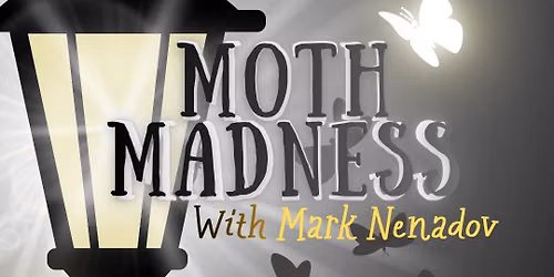 Moth Madness with Mark Nenadov