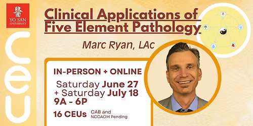 Clinical Applications of Five Element Pathology