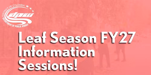 Leaf Season FY27 Information Sessions! - Thursday, June 4