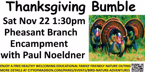 "Thanksgiving Bumble" Bird and Nature Adventure at Pheasant Branch Encampment - Paul Noeldner