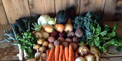 Thanksgiving Market at Sweet Land Farm