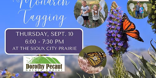 Monarch Tagging