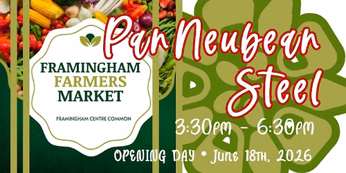 OPENING DAY Framingham Farmers Market with PanNeubean Steel SOLO