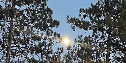 Full Moon Night Hike