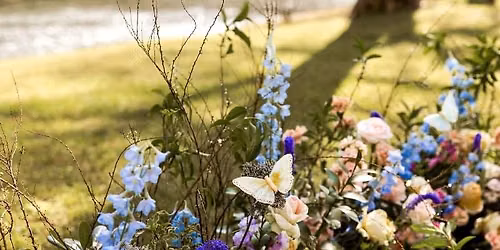 Fresh Flower Arranging by Susan Rowe