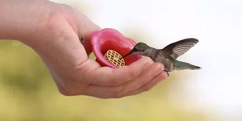 RRPA Monthly Meeting