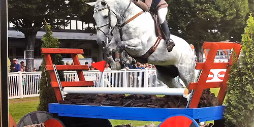 South East Ridden Irish Draught Championship