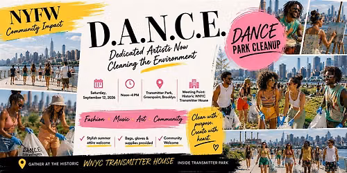 DANCE Clean up Transmitter PArk