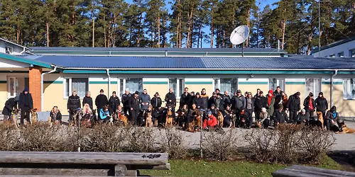 Eesti P\u00e4\u00e4stekoerte \u00dchingu kevadlaager 2026