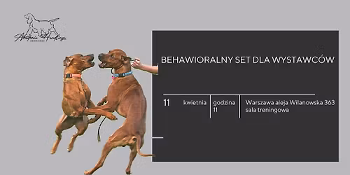 Behawioralny set dla wystawc\u00f3w