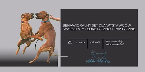Behawioralny set dla wystawc\u00f3w