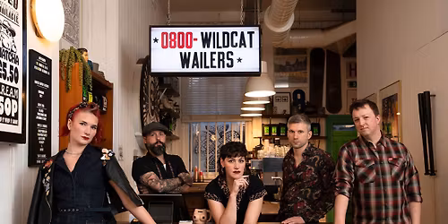 Wildcat Wailers at the Admiral Drake 