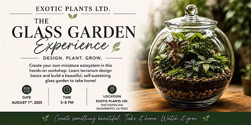 The Glass Gardens Experience