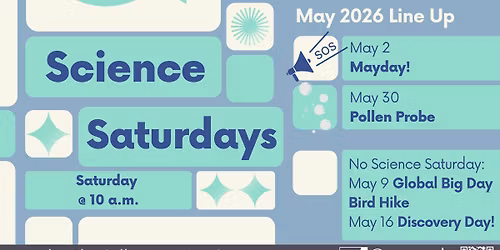 Science Saturdays: Pollen Probe