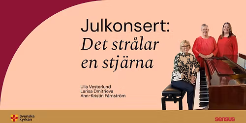 Konsert: Det str\u00e5lar en stj\u00e4rna