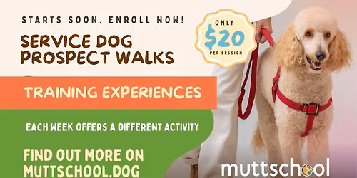 Service Dog Prospect Walks