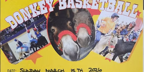 Donkey Basketball