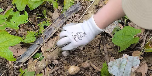 Invasive Species Management Programme