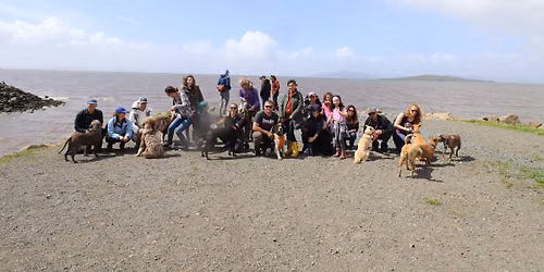 Pt Isabel Bagels and Barks