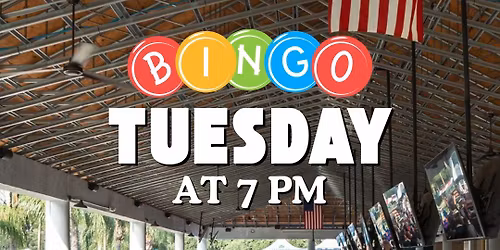 Bingo Night