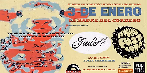 Fiesta ACME 3 de Enero