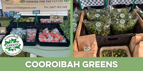 Cooroibah Greens opening at the Station Markets