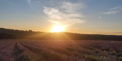 Natur'elle Retreat \u2014 A Women\u2019s Embodiment & Nature Retreat in France