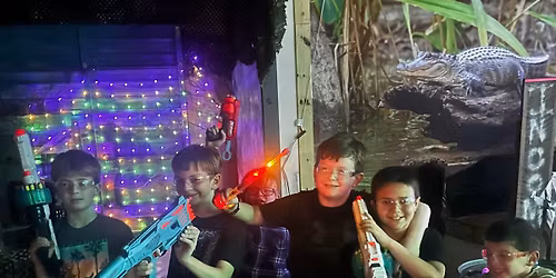 Nerf, SnoBall & Pizza in The Swamp