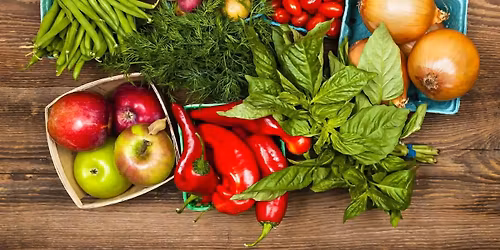 Free Food Distribution & Urban Garden Workshop